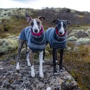 Purely Pawsome™ Winter Fleece Turtleneck Vest - Bohemia Style for Whippets & Italian Greyhounds