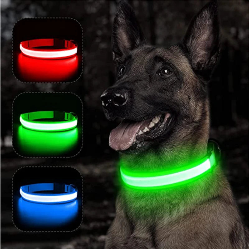 🐾 Purely Pawsome™ LED Glowing Dog Collar