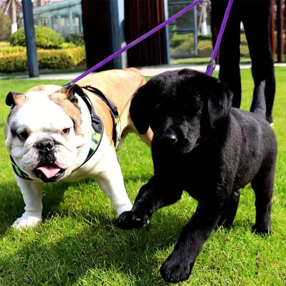 🐾 Purely Pawsome™ Dual Dog Leash