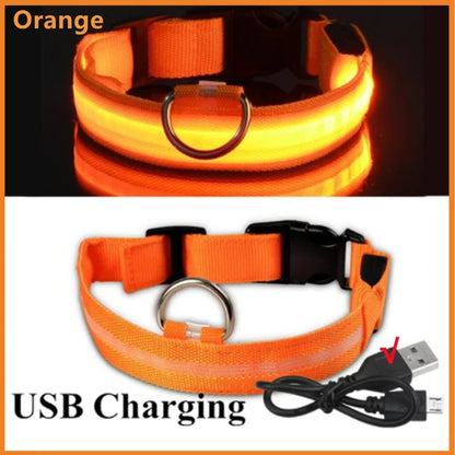 🐾 Purely Pawsome™ LED Glowing Dog Collar