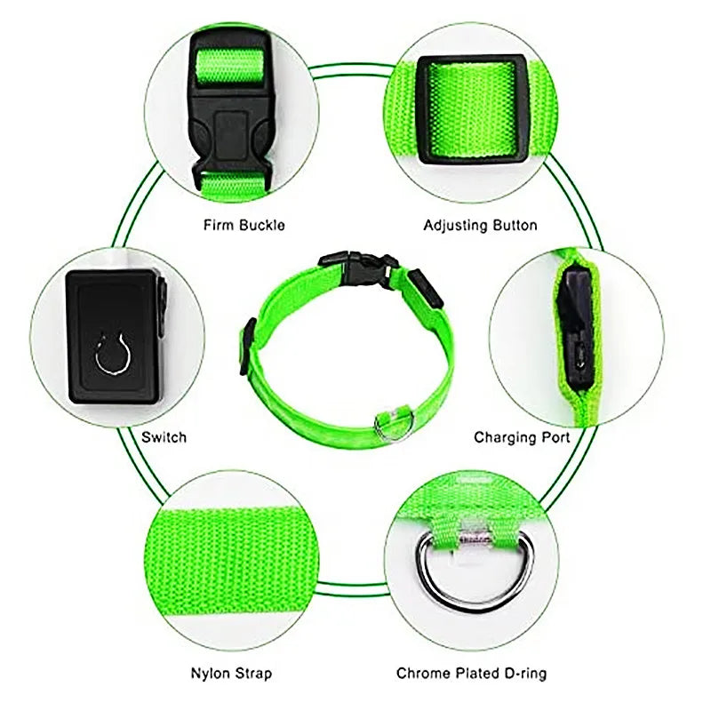 🐾 Purely Pawsome™ LED Glowing Dog Collar