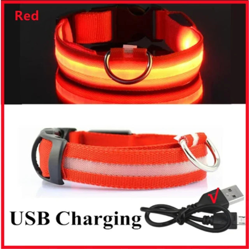 🌟 Purely Pawsome™ LED Glowing Dog Collar