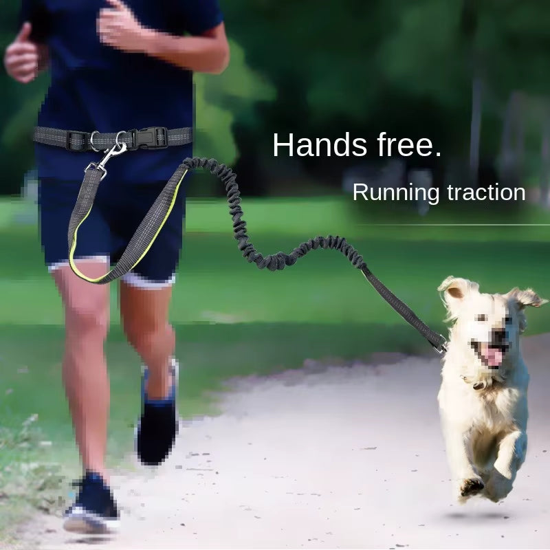 🐾 Purely Pawsome™ Hands-Free Dog Leash