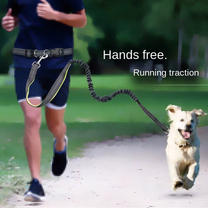🐾 Purely Pawsome™ Hands-Free Dog Leash