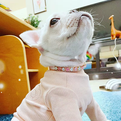 Elegant Collar for Cats & Small Dogs (Ragdoll, Sphynx & More)