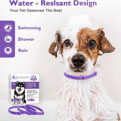🐾 Purely Pawsome™ Calming Pet Collar