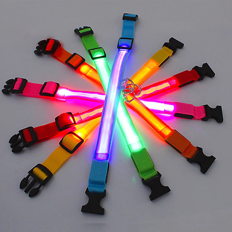 🐾 Purely Pawsome™ LED Glowing Dog Collar