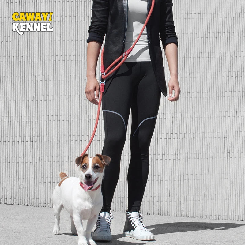 🐾 Purely Pawsome™ Reflective Nylon Dog Leash