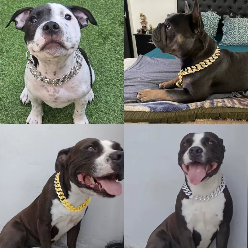 Luxury Golden Inlay Necklace for Small, Medium & Large Dogs