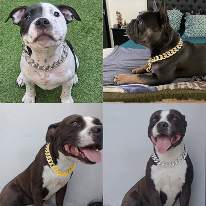 Luxury Golden Inlay Necklace for Small, Medium & Large Dogs