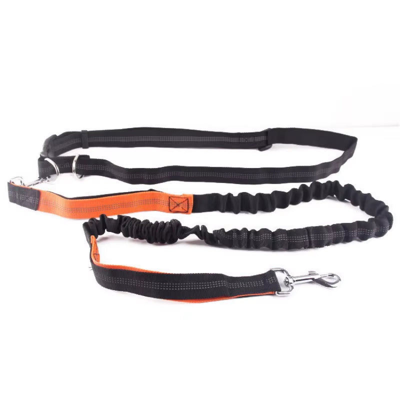 🐾 Purely Pawsome™ Hands-Free Dog Leash
