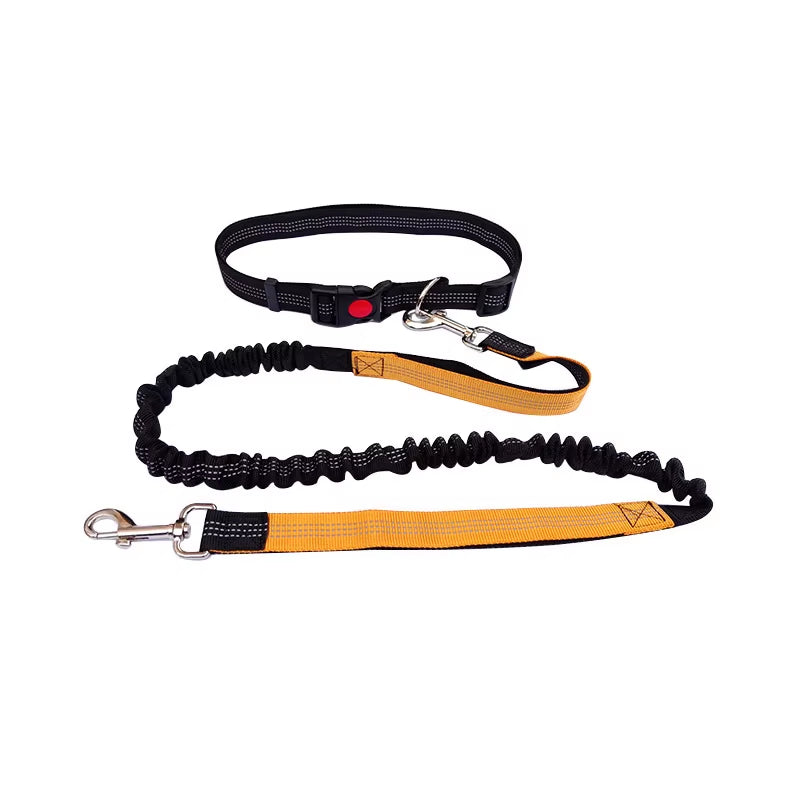 🐾 Purely Pawsome™ Hands-Free Dog Leash