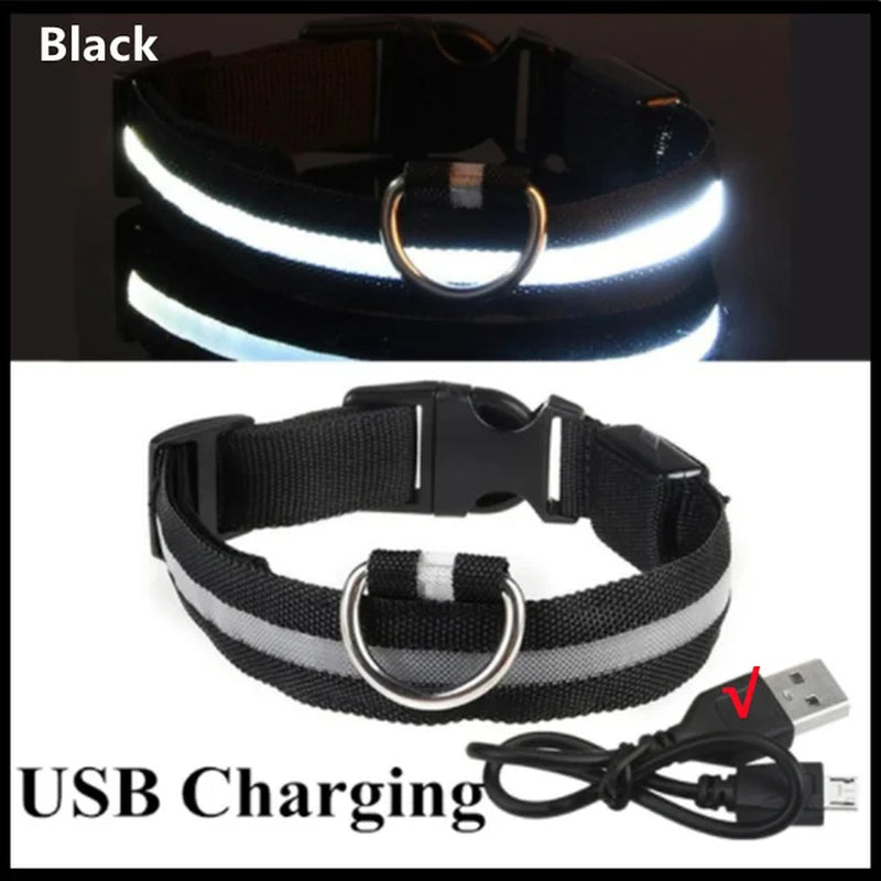 🐾 Purely Pawsome™ LED Glowing Dog Collar