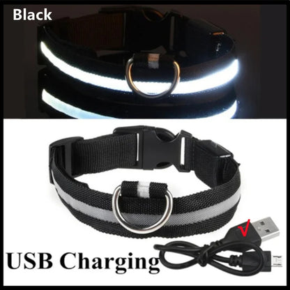 🐾 Purely Pawsome™ LED Glowing Dog Collar