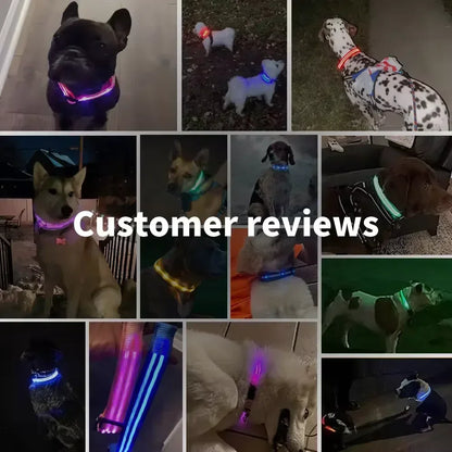 🌟 Purely Pawsome™ LED Glowing Dog Collar