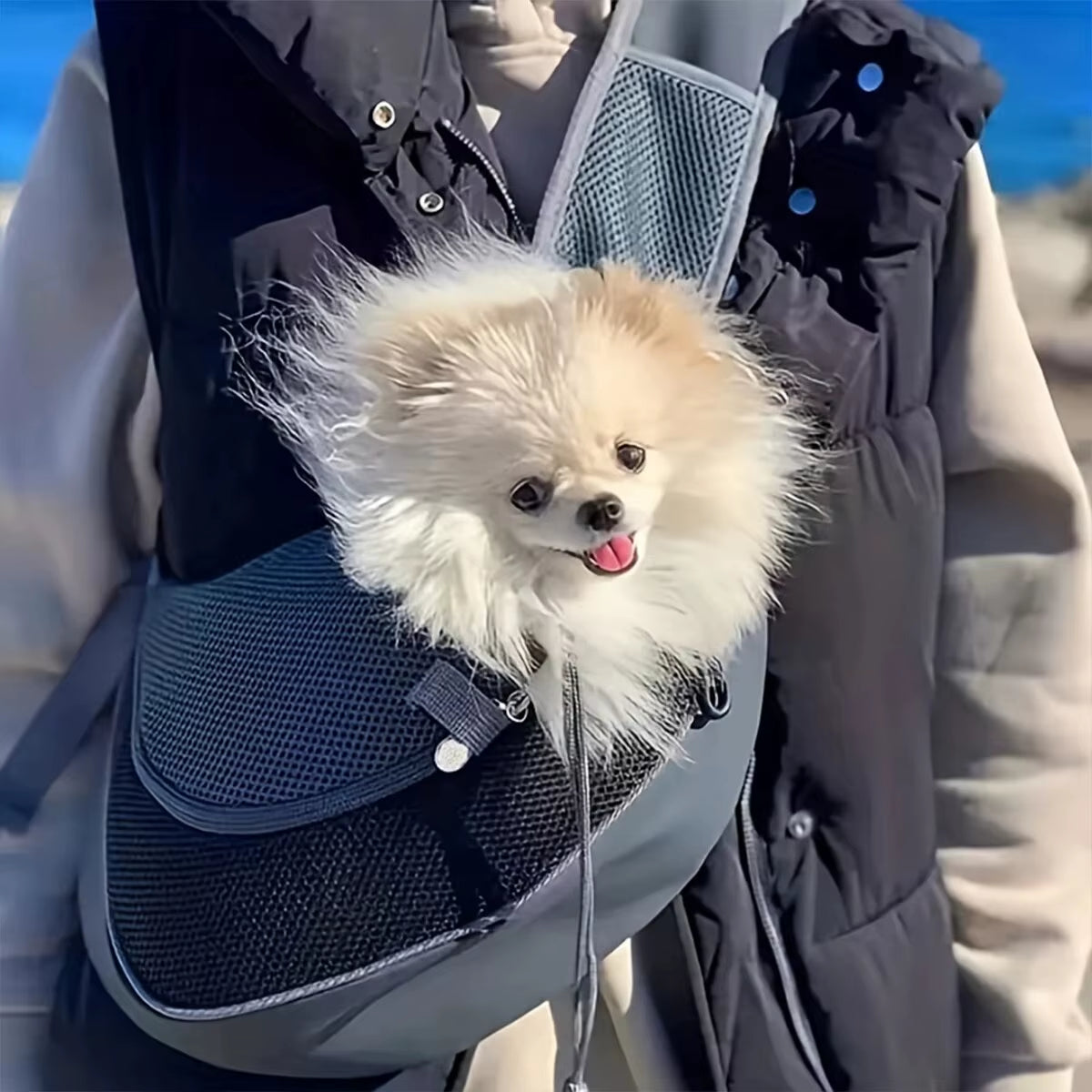 🐾 Purely Pawsome™ Portable Pet Travel Bag