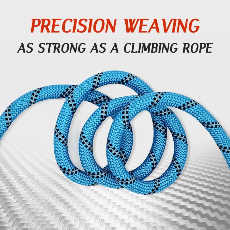 🐾 Purely Pawsome™ Reflective Nylon Dog Leash