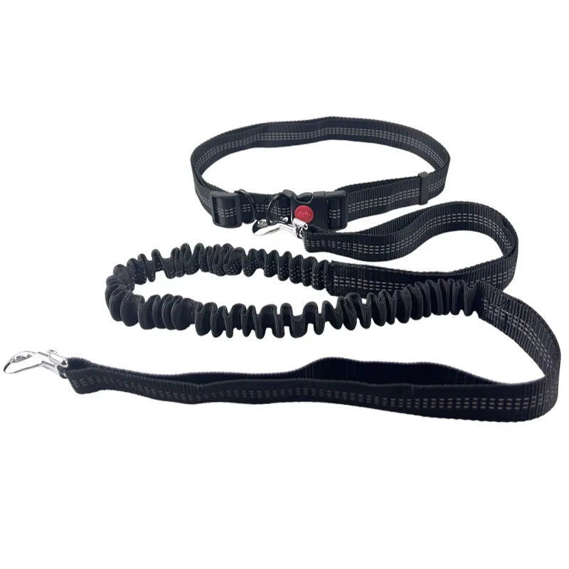 🐾 Purely Pawsome™ Hands-Free Dog Leash