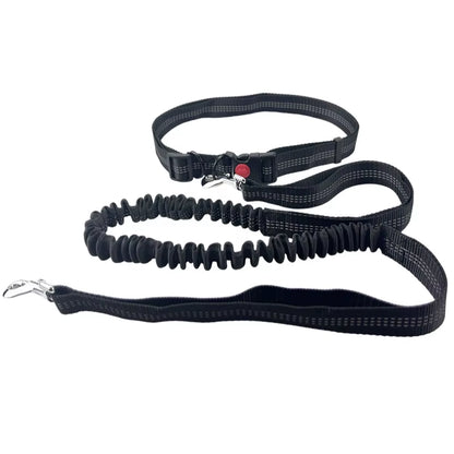 🐾 Purely Pawsome™ Hands-Free Dog Leash