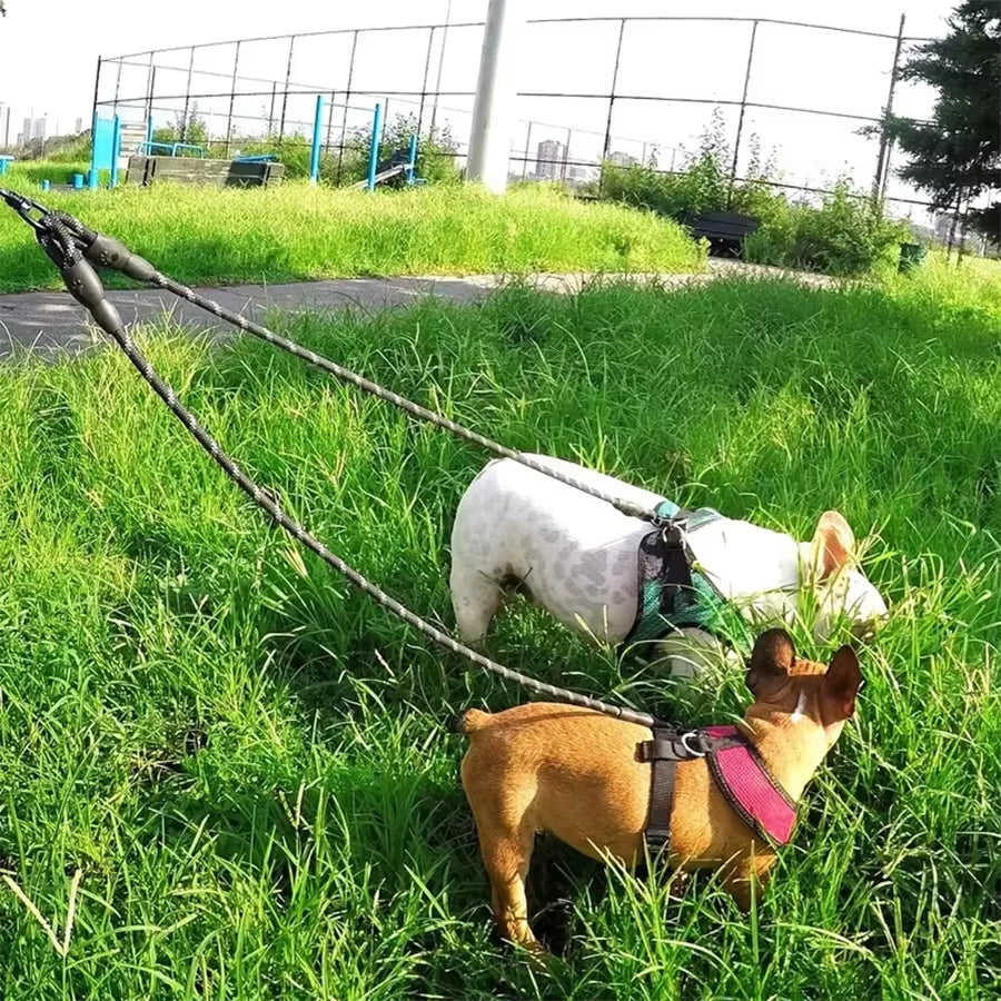 🐾 Purely Pawsome™ Dual Dog Leash