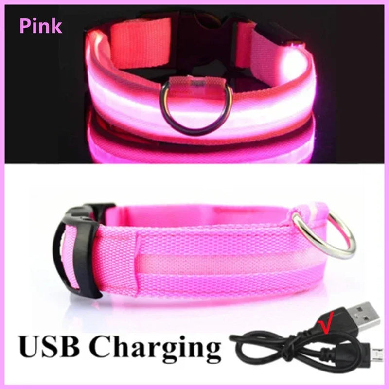 🌟 Purely Pawsome™ LED Glowing Dog Collar