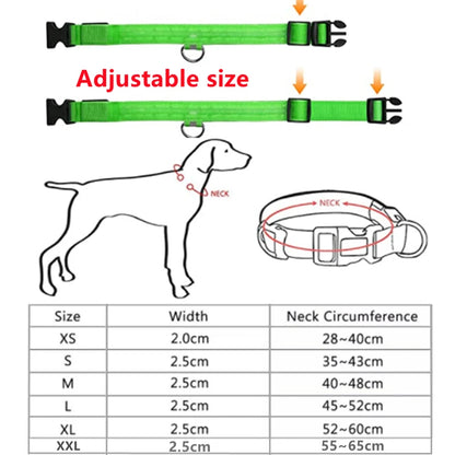 🐾 Purely Pawsome™ LED Glowing Dog Collar