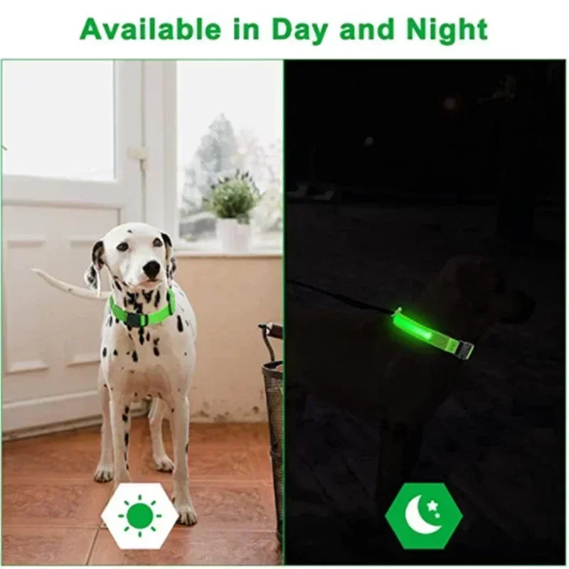🌟 Purely Pawsome™ LED Glowing Dog Collar
