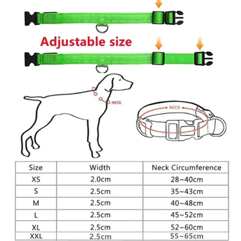 🌟 Purely Pawsome™ LED Glowing Dog Collar