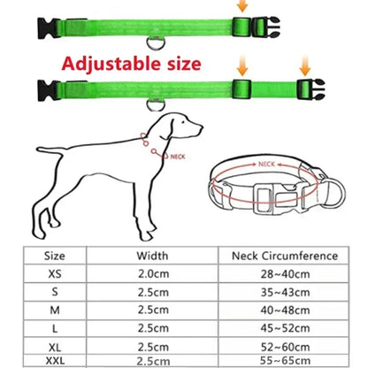 🌟 Purely Pawsome™ LED Glowing Dog Collar