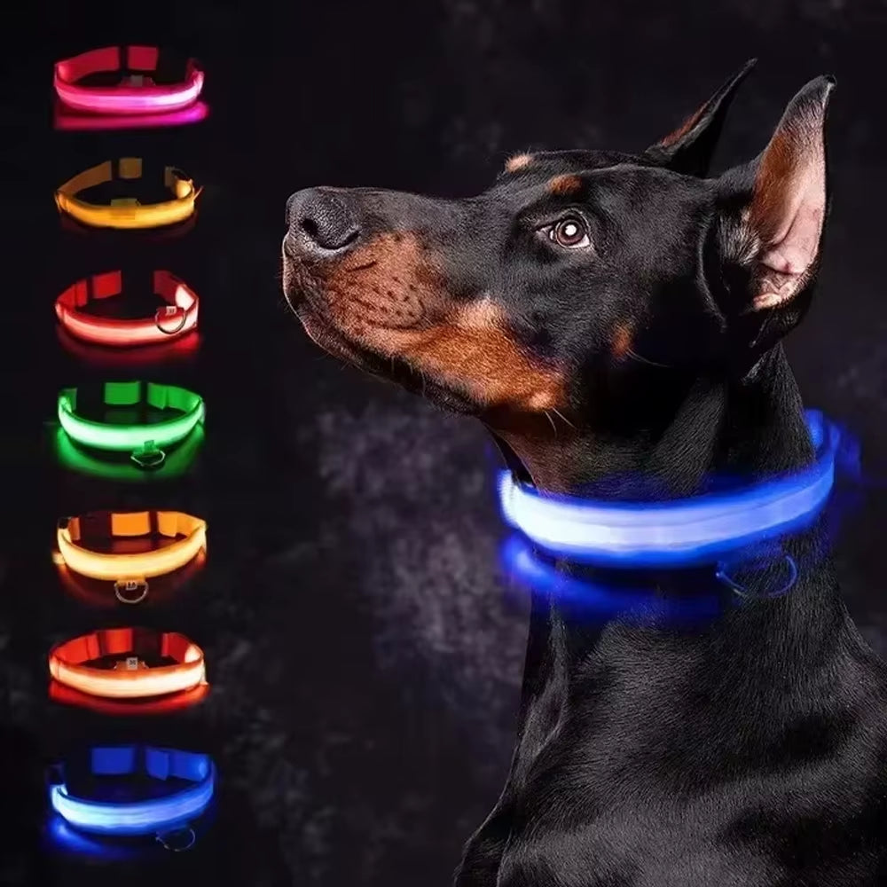 🌟 Purely Pawsome™ LED Glowing Dog Collar