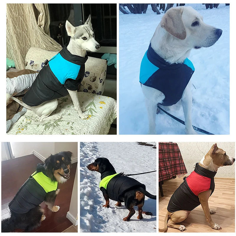 Purely Pawsome™ Waterproof Winter Dog Coat - Warm Vest for Small to Large Dogs