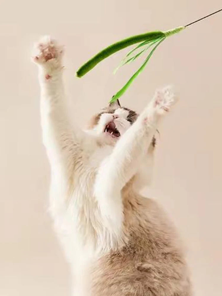 Purely Pawsome™ Cat Teasing Feather Pole - Dog Tail Grass Wire Cat Toys Flexible Durable
