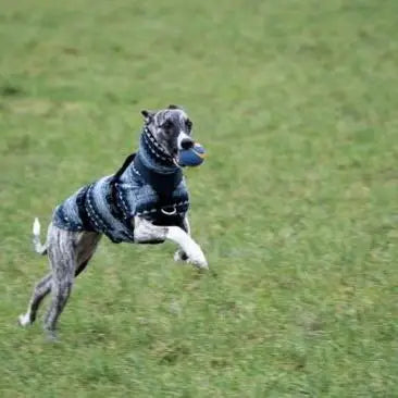 Purely Pawsome™ Winter Fleece Turtleneck Vest - Bohemia Style for Whippets & Italian Greyhounds