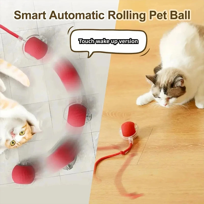 Purely Pawsome™ Cat Interactive Ball Toy - Automatic Rolling Rechargeable Smart Kitten Ball