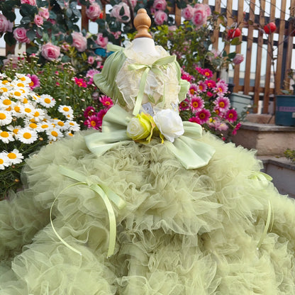 Purely Pawsome™ Luxury Green Dog Party Dress - Handmade Embroidered Lace Gown