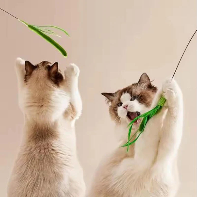 Purely Pawsome™ Cat Teasing Feather Pole - Dog Tail Grass Wire Cat Toys Flexible Durable