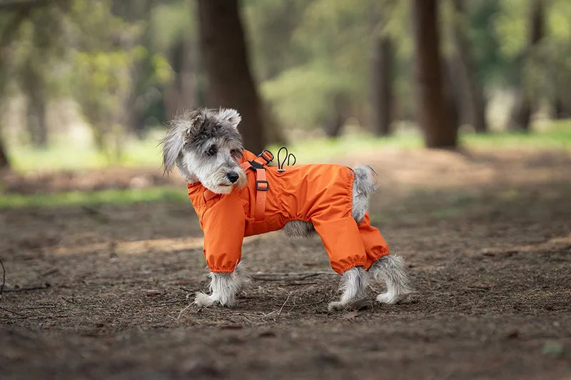 Purely Pawsome™ Dog Raincoat with Harness - Waterproof 4-Leg Rain Jacket for Small Dogs