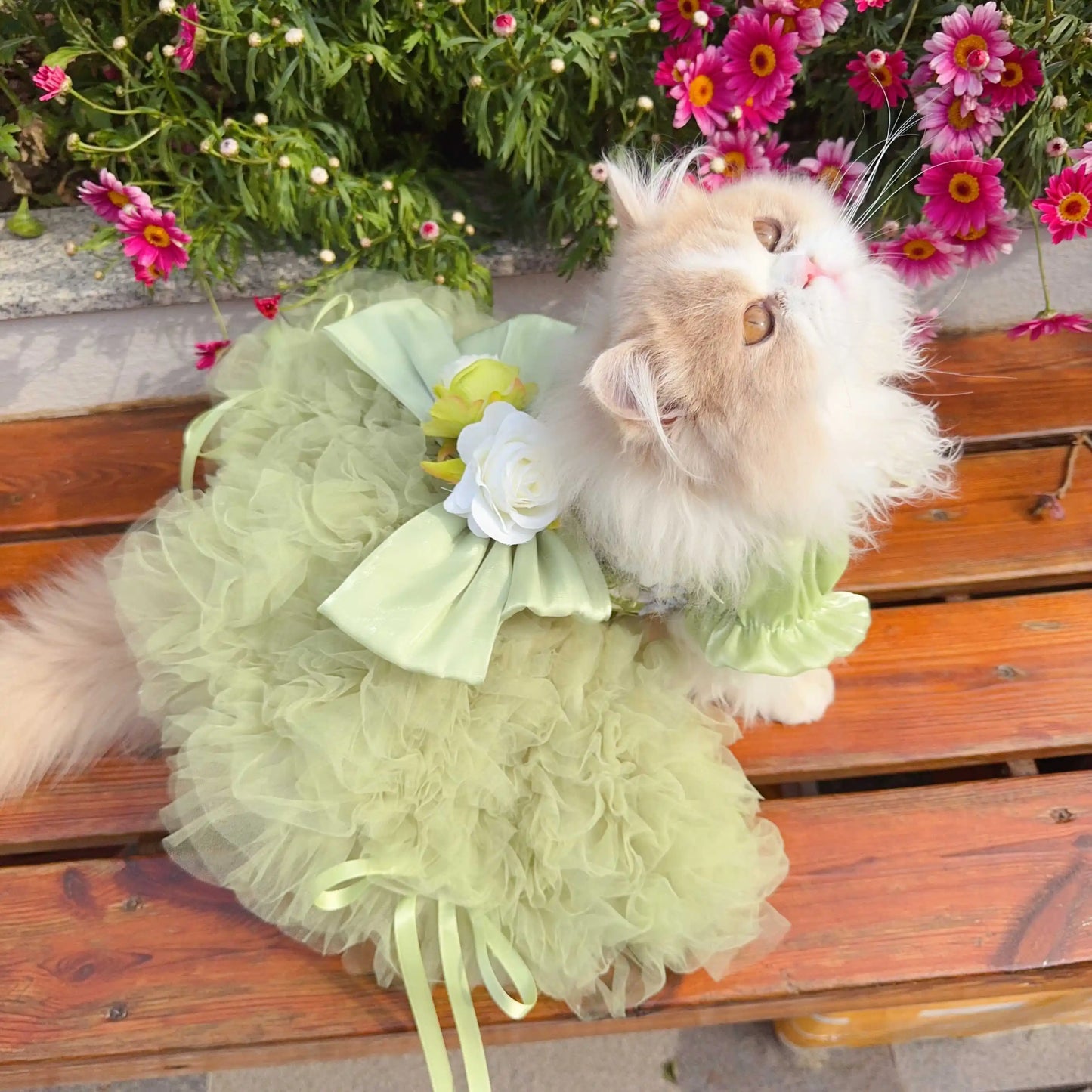 Purely Pawsome™ Luxury Green Dog Party Dress - Handmade Embroidered Lace Gown