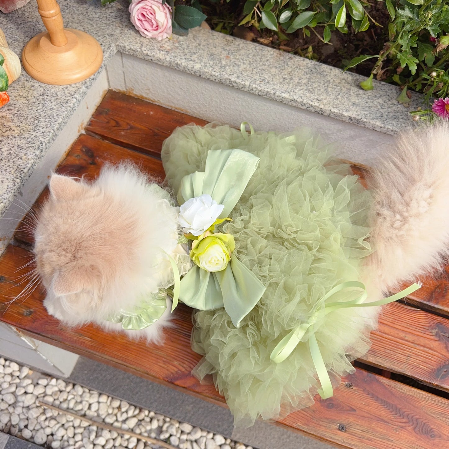 Purely Pawsome™ Luxury Green Dog Party Dress - Handmade Embroidered Lace Gown