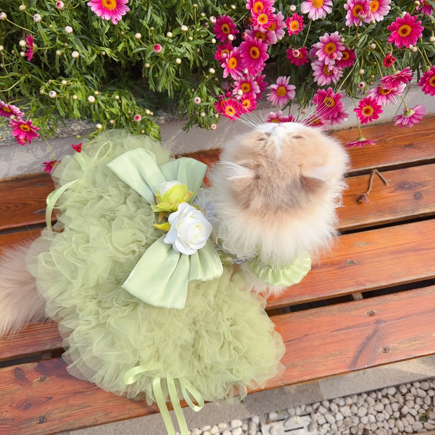 Purely Pawsome™ Luxury Green Dog Party Dress - Handmade Embroidered Lace Gown