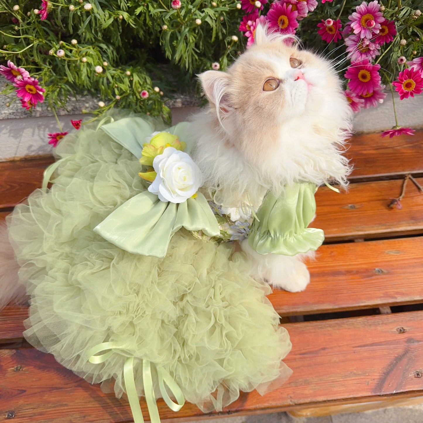 Purely Pawsome™ Luxury Green Dog Party Dress - Handmade Embroidered Lace Gown