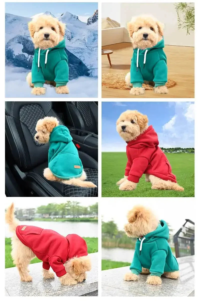 Purely Pawsome™ Warm Fleece Dog Hoodie - Outdoor Vest for Small & Medium Dogs