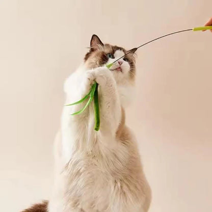 Purely Pawsome™ Cat Teasing Feather Pole - Dog Tail Grass Wire Cat Toys Flexible Durable