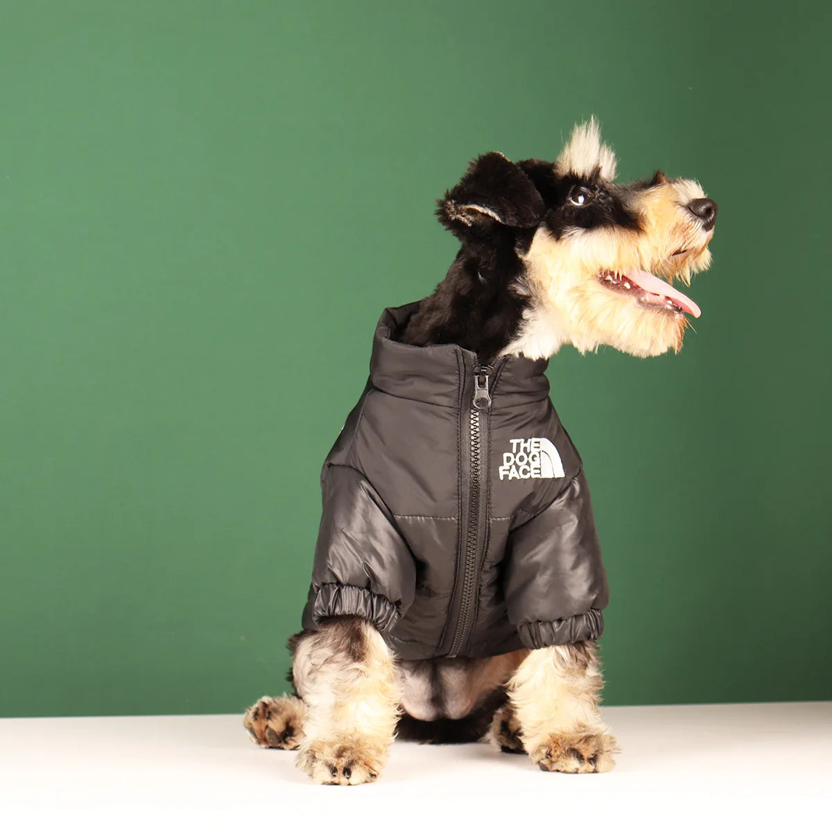 Purely Pawsome™ Reflective Windproof Dog Jacket - Warm Winter Coat for Small & Medium Dogs