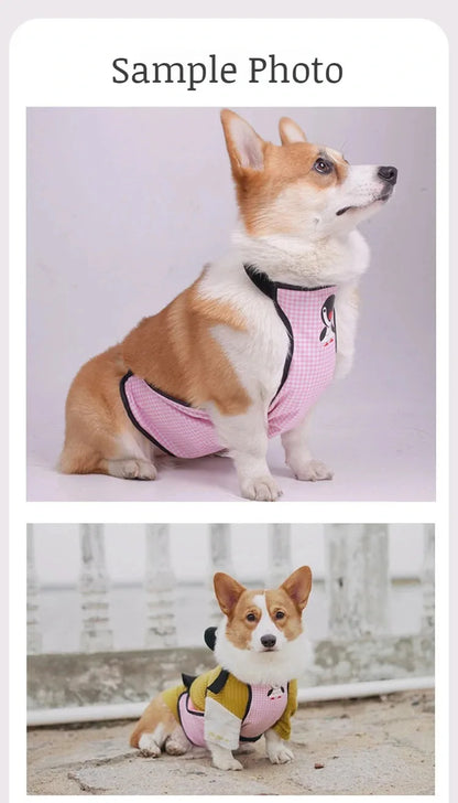 Purely Pawsome™ Dog Belly Cover - Breathable Anti-Dirty Waterproof Belly Band Apron