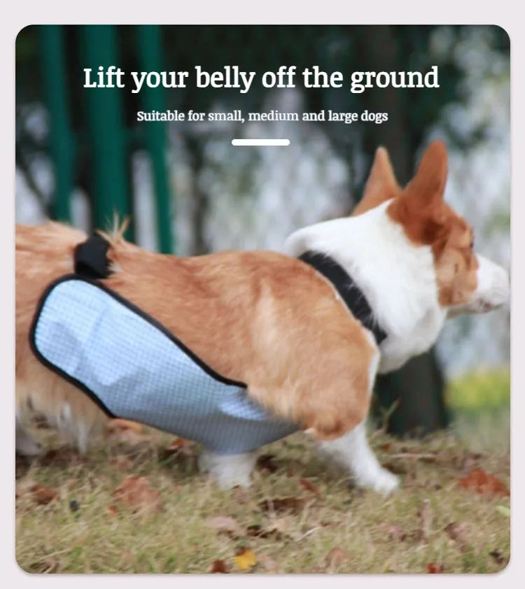 Purely Pawsome™ Dog Belly Cover - Breathable Anti-Dirty Waterproof Belly Band Apron