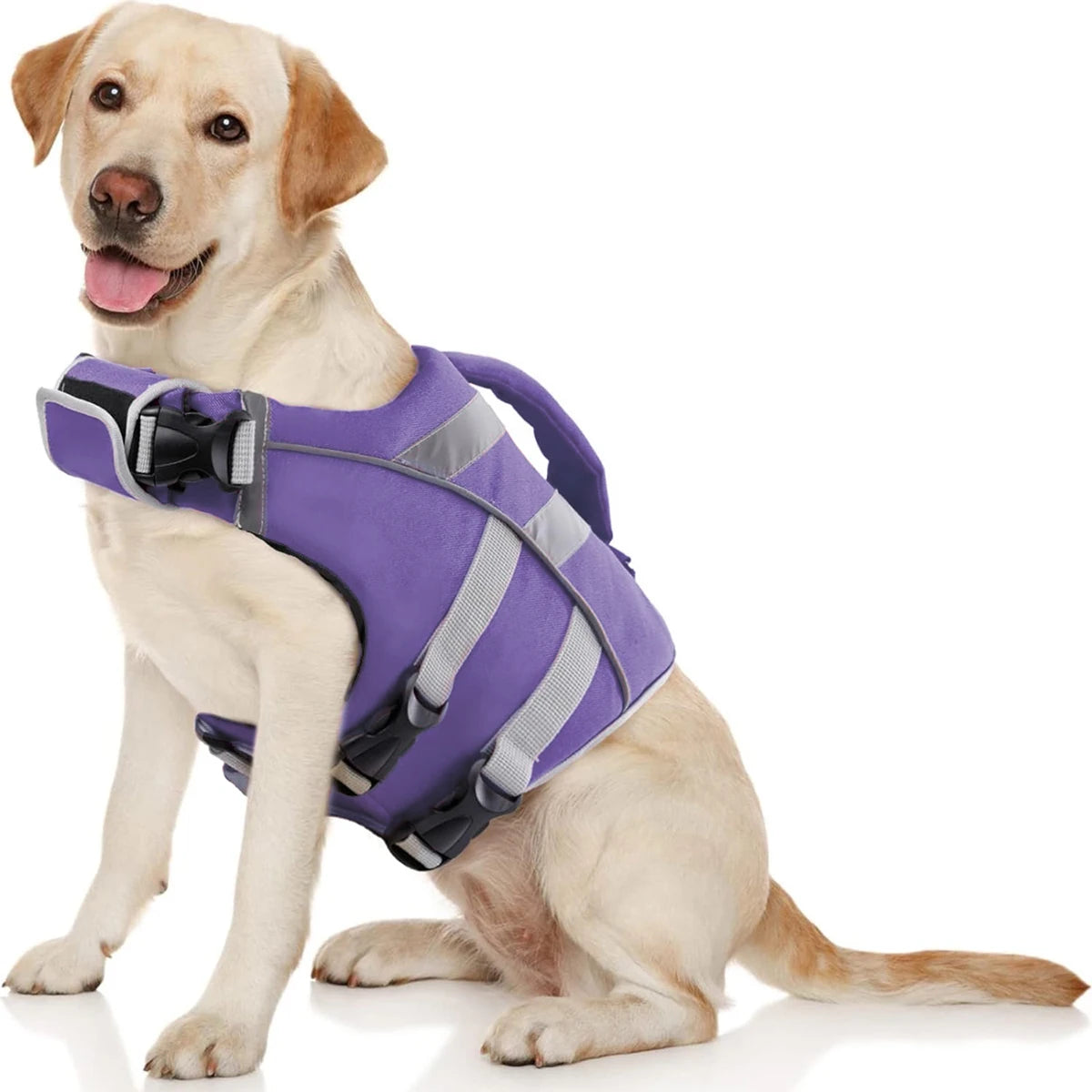 Purely Pawsome™ Premium Waterproof Dog Life Jacket - Reflective Safety Vest for Water Adventures