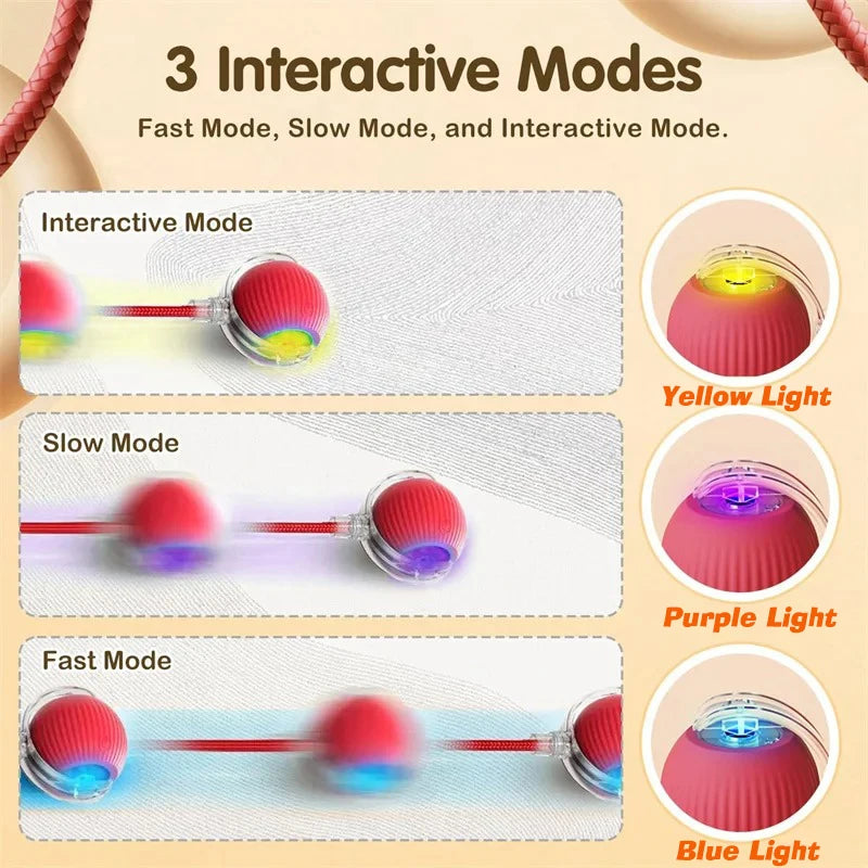 Purely Pawsome™ Cat Interactive Ball Toy - Automatic Rolling Rechargeable Smart Kitten Ball