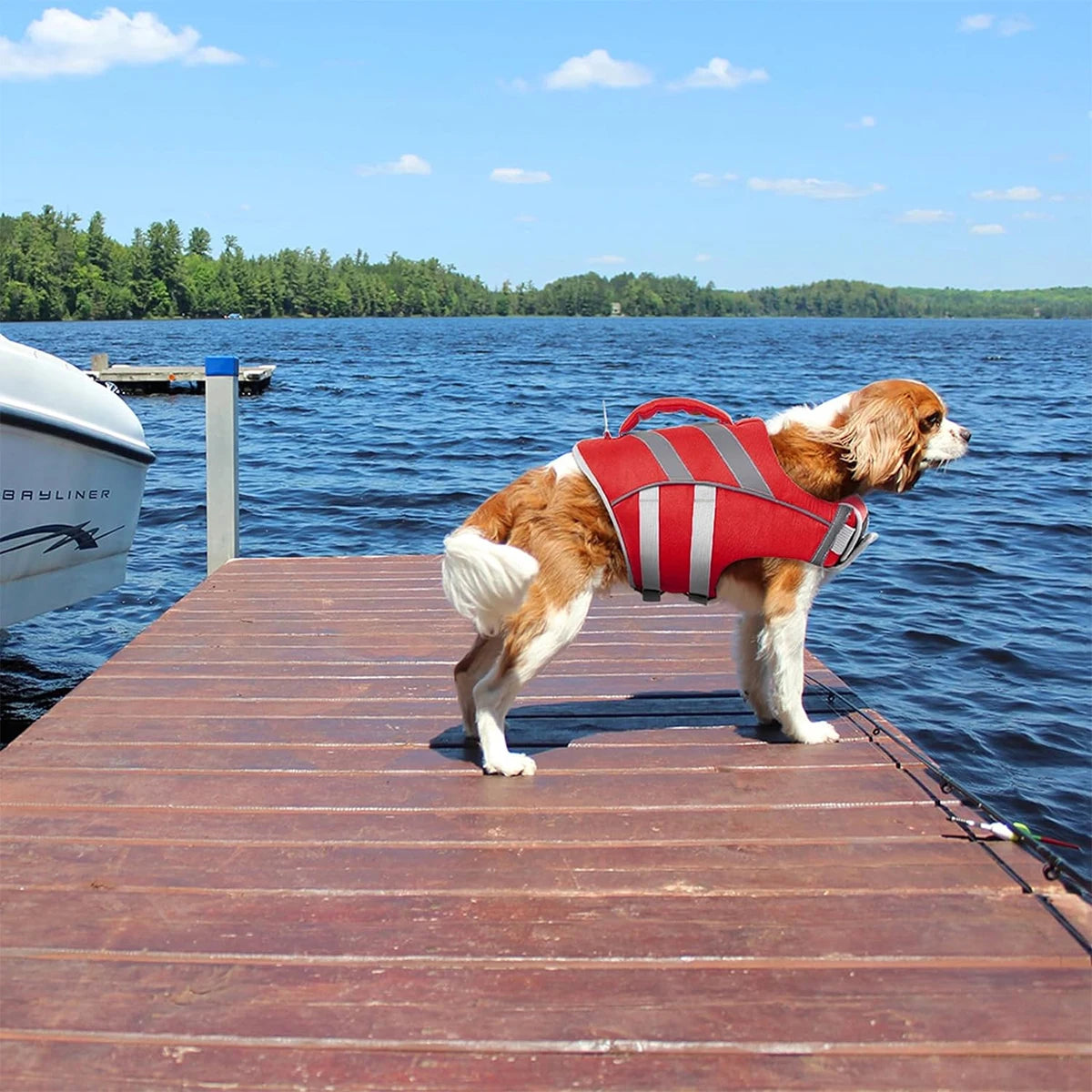 Purely Pawsome™ Premium Waterproof Dog Life Jacket - Reflective Safety Vest for Water Adventures