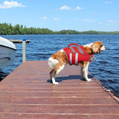 Purely Pawsome™ Premium Waterproof Dog Life Jacket - Reflective Safety Vest for Water Adventures